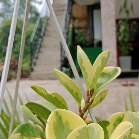Ella Glory Inn Dış mekan fotoğraf
