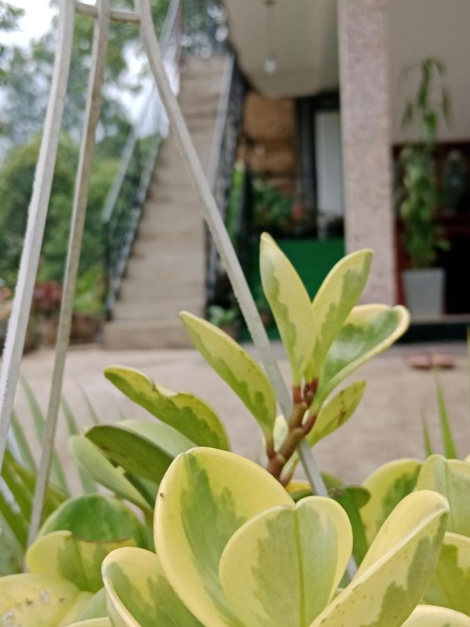 Ella Glory Inn Dış mekan fotoğraf